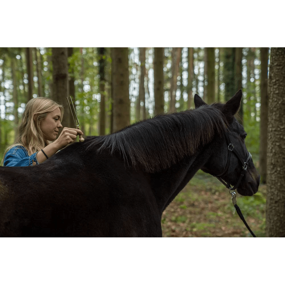 Accessori Diapason: piedino tondo medio - VibraSonic